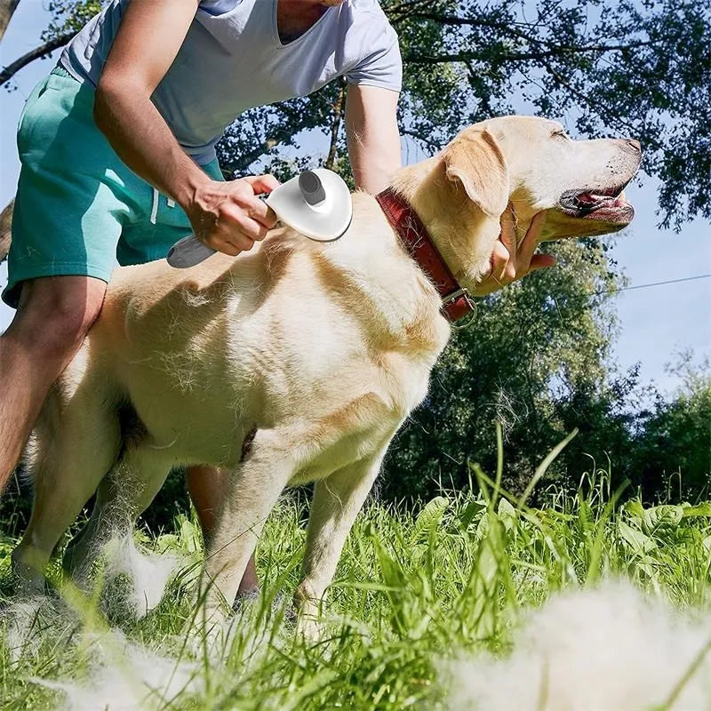Cepillo Autolimpiante Pro 🐾 | Removedor de Pelo para Perros y Gatos