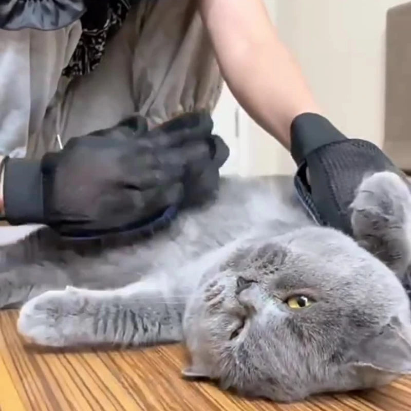 Guante Removedor de Pelo Pro 🐾 | Cepillo de Silicona para Perros y Gatos